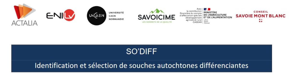 Lancement du programme SO’DIFF (Identification et sélection de souches autochtones différenciantes en fromagerie)